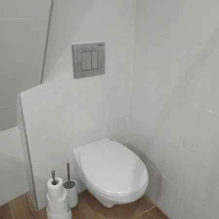 Modern * Seghedin